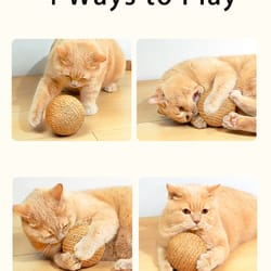 cat scratching ball toy for teeth cleaning & healthy play