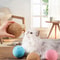 Cat Scratching Ball Toy For Teeth Cleaning Healthy Play 1