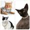 Luxury Cuban Link Dog Collar With Secure Buckle Bling Metal Pet Jewelry For Dogs Cats 1