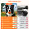 Dog Ball Indestructible Rechargeable Moving Toy For Aggressive Chewers 2