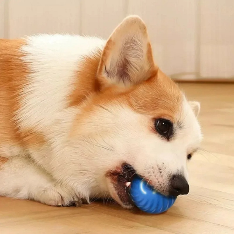 Dog Ball Toy USB Rechargeable Automatic Rolling Bouncing Dog Toy 1