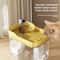Cat Water Fountain with Auto Filter Transparent Anti Dry Burning Recirculating Dispenser Includes Pump for Cats