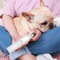 Electric Pet Nail Grinder Painless Paws Grooming And Smoothing Dog Nail Trimmer 2 Speed For Small M 0