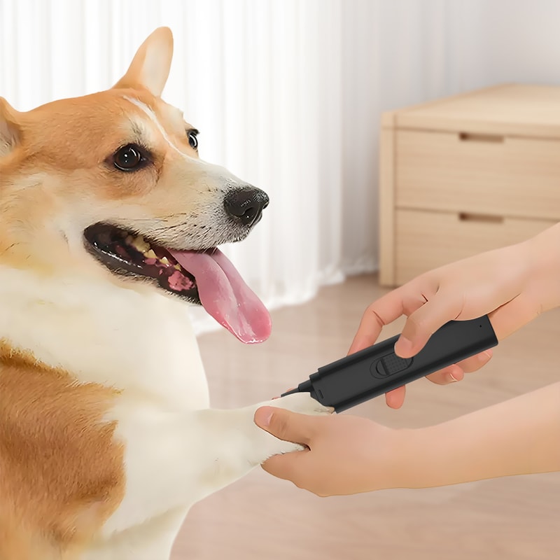 Electric Pet Nail Grinder Painless Paws Grooming And Smoothing Dog Nail Trimmer 2 Speed For Small M 1