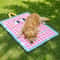 Pet Nail Trimmer Red Pet Dog Toe Care Nail Grooming Trimmer Clipper
