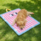 Pet Nail Trimmer Red Pet Dog Toe Care Nail Grooming Trimmer Clipper