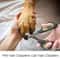 Pet Nail Clippers Professional Claw Trimmer Safety Grooming Clipper For Dogs Cats And Small Animals 6