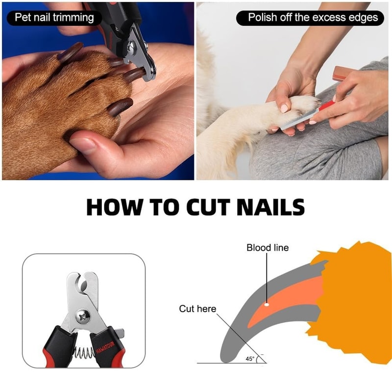 Professional Stainless Steel Pet Nail Clippers with File Safe Dog & Cat Grooming Trimmers
