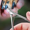 Professional Stainless Steel Pet Nail Clipper Trimmer For Dogs And Cats 1
