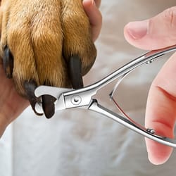 professional stainless steel pet nail clipper & trimmer for dogs and cats
