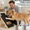 Premium Wooden Dog Nail Scratch Board With Built In Treat Box Nail Trim Pad 1