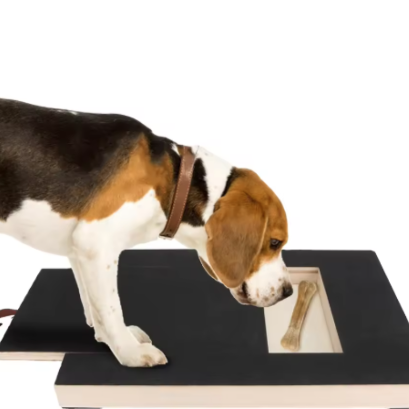 Premium Wooden Dog Nail Scratch Board With Built In Treat Box Nail Trim Pad 4
