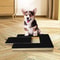 Premium Wooden Dog Nail Scratch Board With Built In Treat Box Nail Trim Pad 0