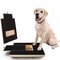 Premium Dog Nail Scratch Board with Built In Treat Box Pet Scratching Board & Nail Trim