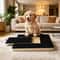 Premium Dog Nail Scratch Board with Built In Treat Box Pet Scratching Board & Nail Trim