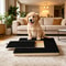 Premium Dog Nail Scratch Board with Built In Treat Box Pet Scratching Board & Nail Trim