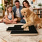 Premium Dog Nail Scratch Board with Built In Treat Box Pet Scratching Board & Nail Trim