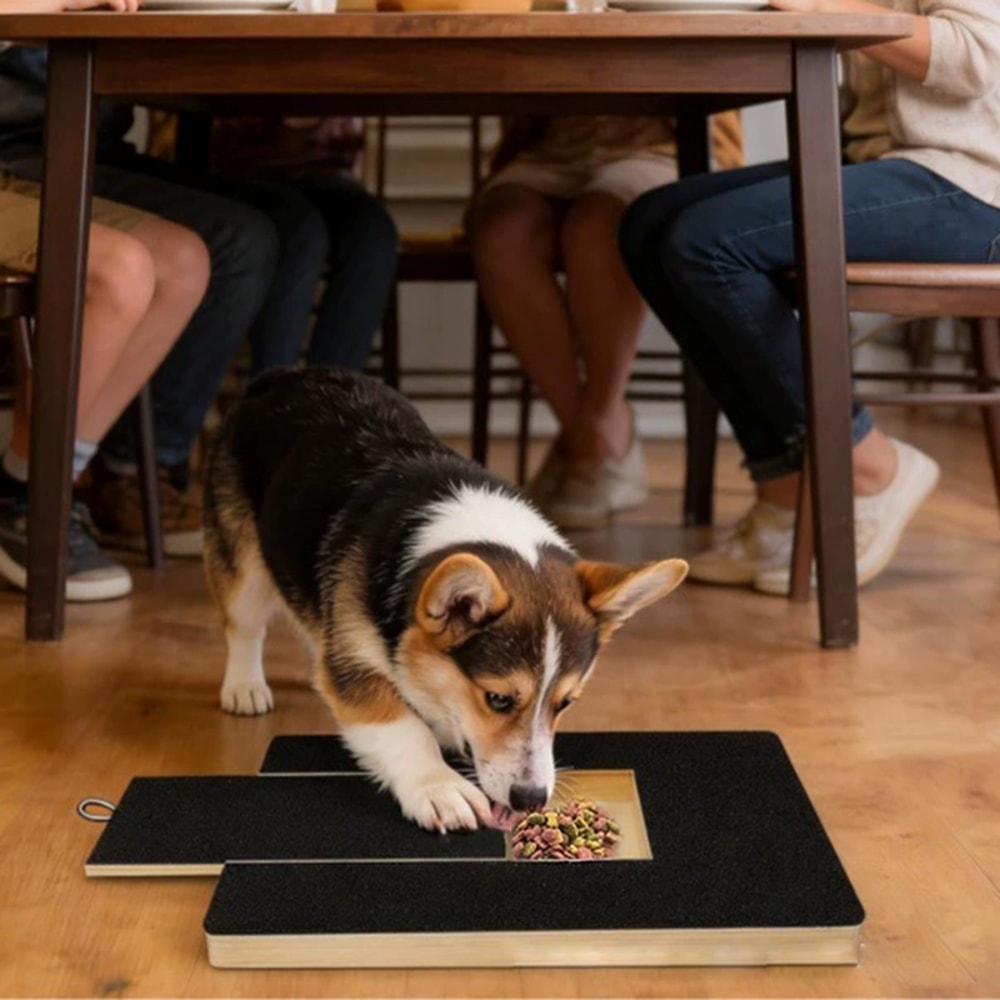 Premium Dog Nail Scratch Board with Built In Treat Box Pet Scratching Board & Nail Trim