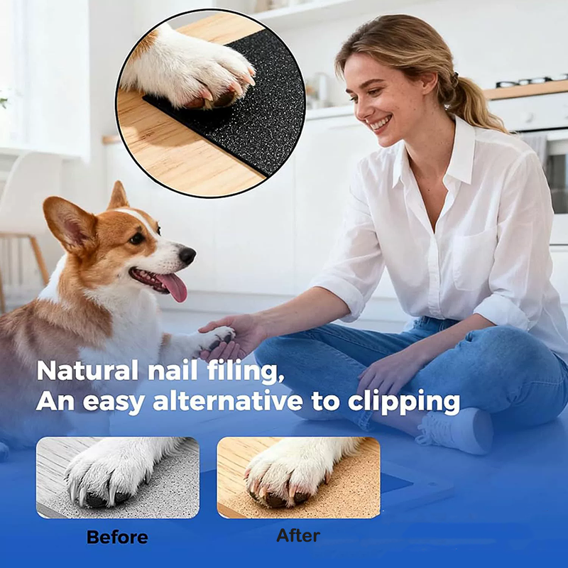 Premium Dog Nail Scratch Board with Built In Treat Box Pet Scratching Board & Nail Trim
