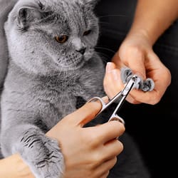 precision stainless steel dog nail clippers & cat nail clipper for smooth paw grooming