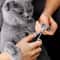 Precision Stainless Steel Dog Nail Clippers Cat Nail Clipper For Smooth Paw Grooming 0