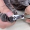 Precision Stainless Steel Dog Nail Clippers Cat Nail Clipper For Smooth Paw Grooming 3