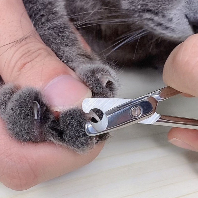 Precision Stainless Steel Dog Nail Clippers Cat Nail Clipper For Smooth Paw Grooming 3