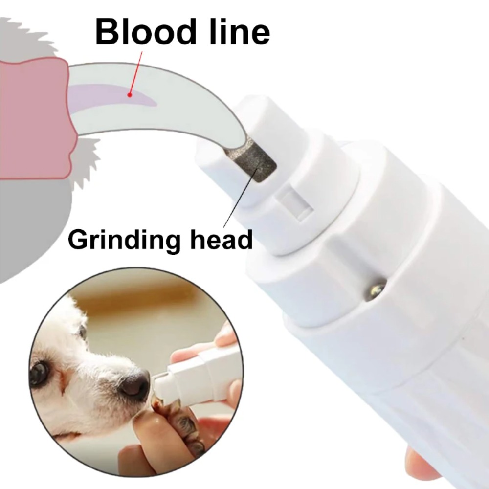 Professional Electric Dog Nail Grinder With Ultra Bright LED Light 2