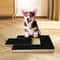 Premium Wooden Dog Nail Scratch Board with Interactive Treat Drawer Stress-Free Dog Scratch Pad for Nails