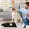 Premium Wooden Dog Nail Scratch Board with Interactive Treat Drawer Stress-Free Dog Scratch Pad for Nails