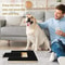 Premium Wooden Dog Nail Scratch Board with Interactive Treat Drawer Stress-Free Dog Scratch Pad for Nails