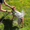 Adjustable Dog Wash Sprayer Nozzle High Pressure Pet Shower Tool