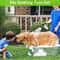 Adjustable Dog Wash Sprayer Nozzle High Pressure Pet Shower Tool