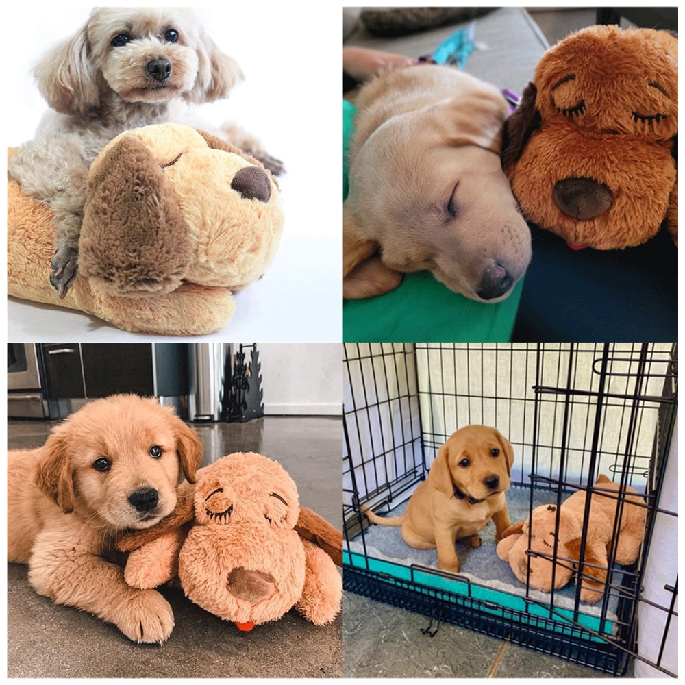 Calming Heartbeat Puppy Plush Anxiety Relief & Training Toy