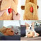 Calming Heartbeat Puppy Plush Anxiety Relief & Training Toy