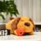 Calming Heartbeat Puppy Plush Anxiety Relief & Training Toy