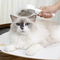 magic pet pro grooming brush effortless pet hair remover, painless deshedding tool for thick fur