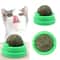 Wall Mounted Natural Catnip Ball Toy for Indoor Cats