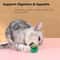 Wall Mounted Natural Catnip Ball Toy for Indoor Cats