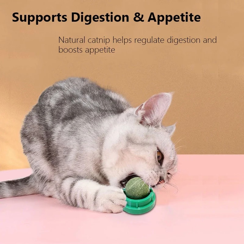 Wall Mounted Natural Catnip Ball Toy for Indoor Cats