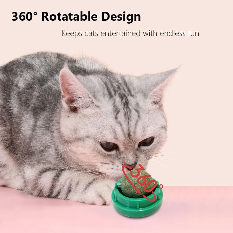 Wall Mounted Natural Catnip Ball Toy for Indoor Cats