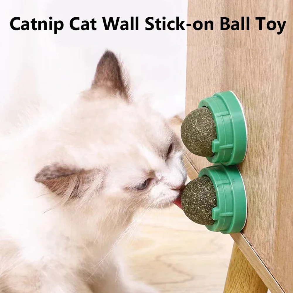 Wall Mounted Natural Catnip Ball Toy for Indoor Cats