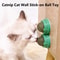 Wall Mounted Natural Catnip Ball Toy for Indoor Cats