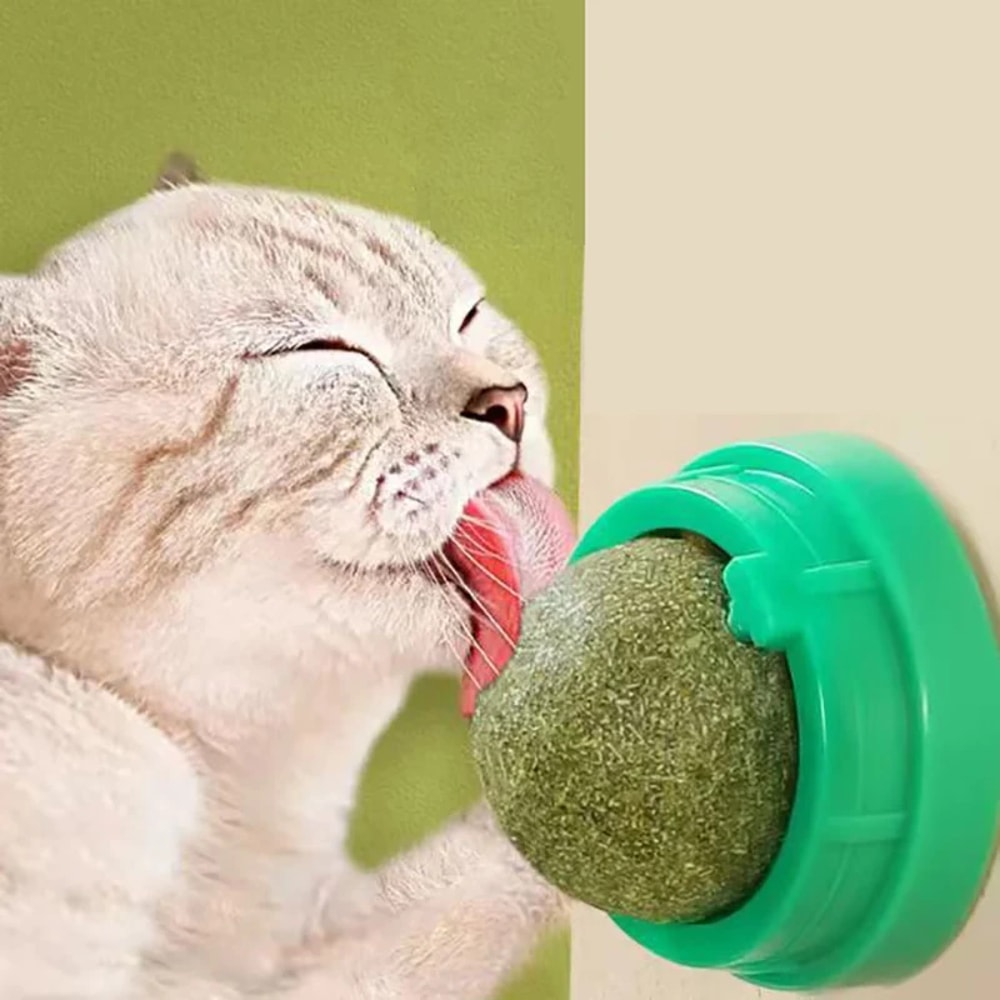 Wall Mounted Natural Catnip Ball Toy for Indoor Cats