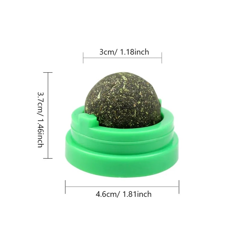 Wall Mounted Natural Catnip Ball Toy for Indoor Cats