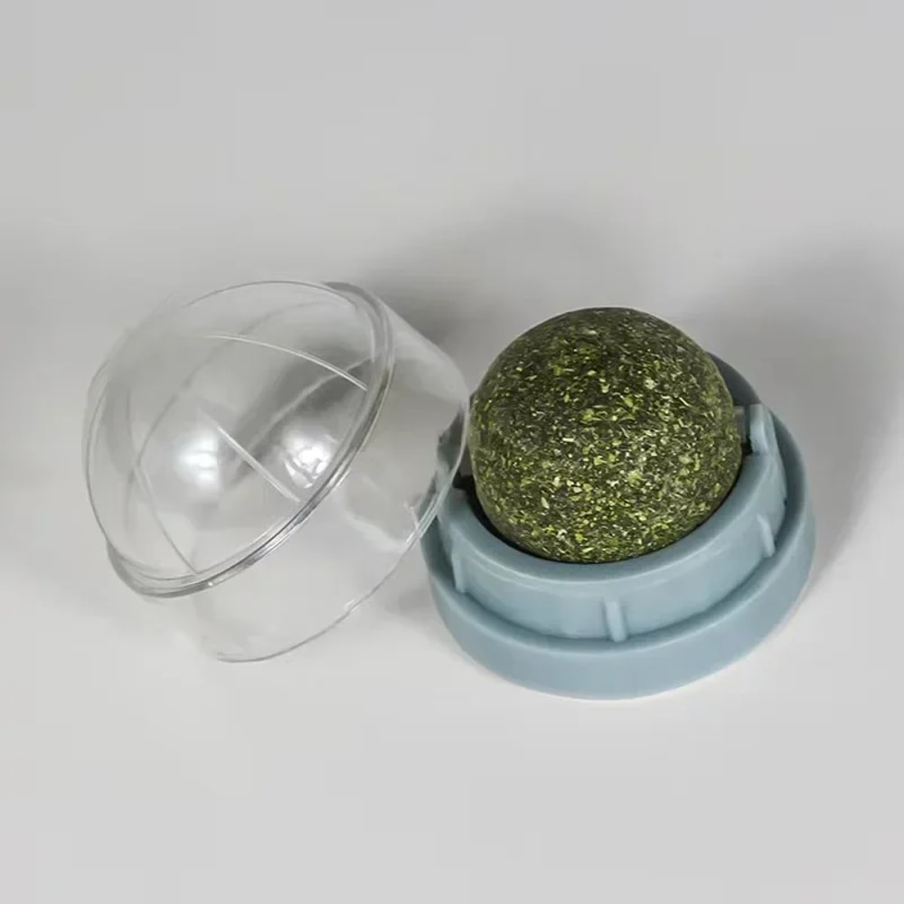 Wall Mounted Natural Catnip Ball Toy for Indoor Cats