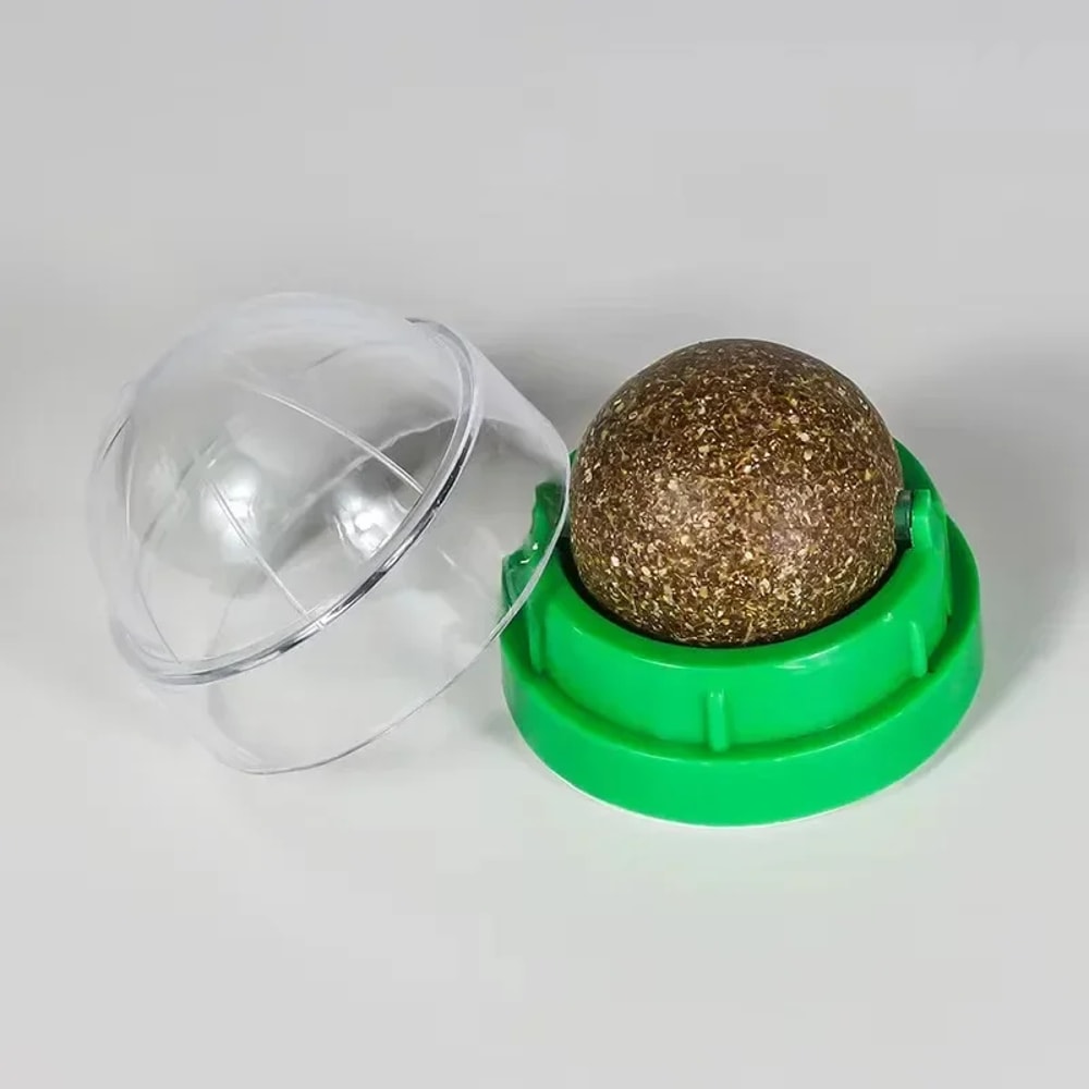 Wall Mounted Natural Catnip Ball Toy for Indoor Cats