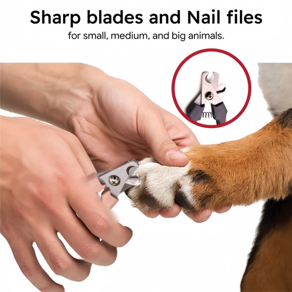 Professional Pet Nail Clipper & Dog Nail Trimmer for Cats Sharp Stainless Steel Pet Clippers