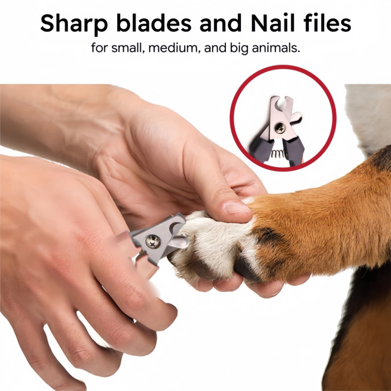 Professional Pet Nail Clipper & Dog Nail Trimmer for Cats Sharp Stainless Steel Pet Clippers