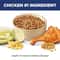 Diet Indoor Chicken Recipe Dry Cat Food for Adult Cats